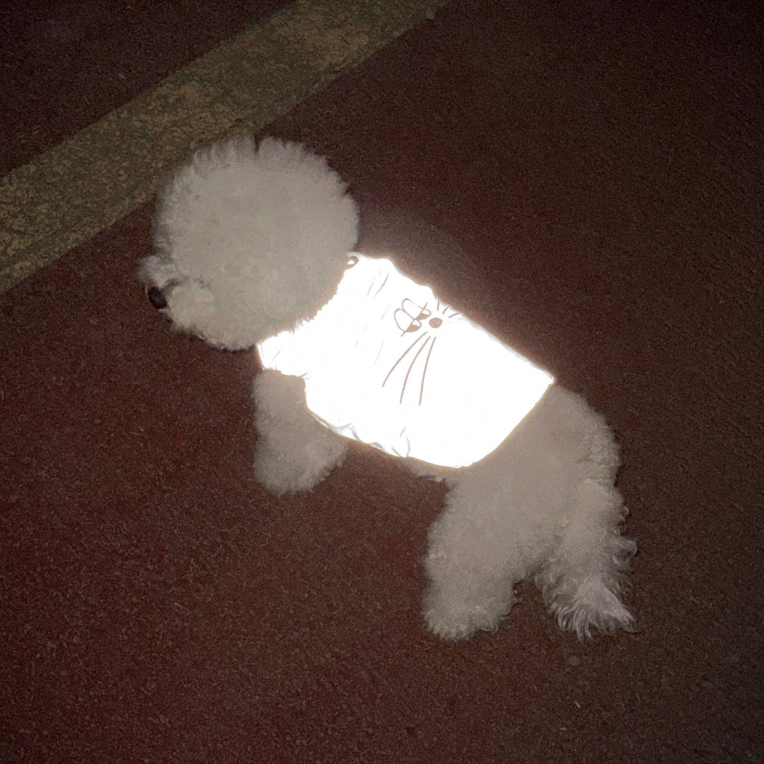 ※予約販売【CRR】Rabbit Reflect Vest