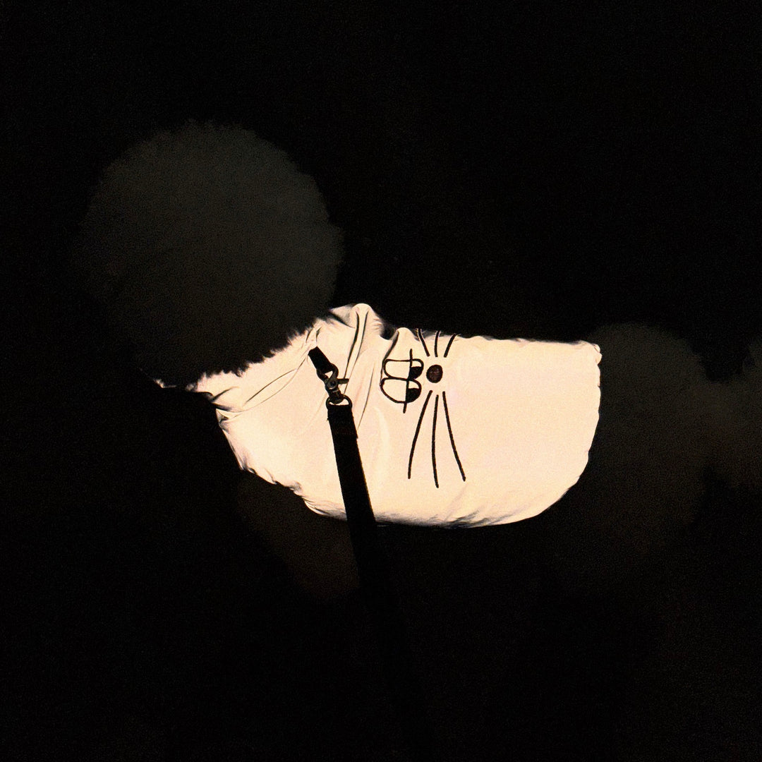 ※予約販売【CRR】Rabbit Reflect Vest