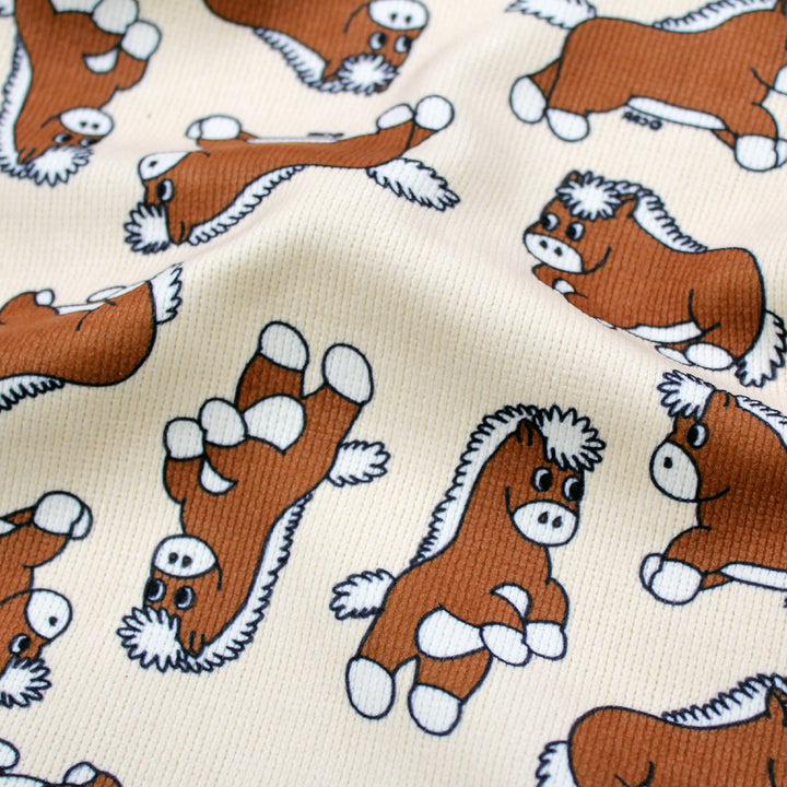 ※予約販売【CRR】Pony Soft corduroy Boa Blanket