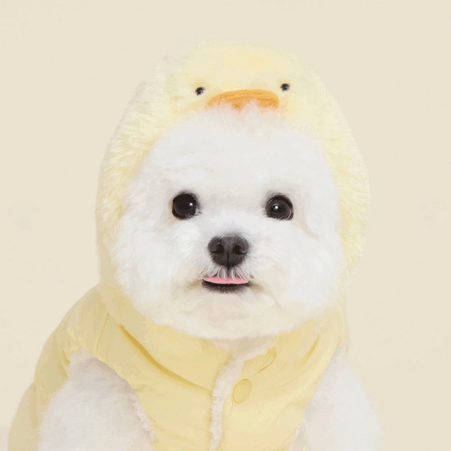 海外犬服 高品質なインポートのドッグウェア通販 