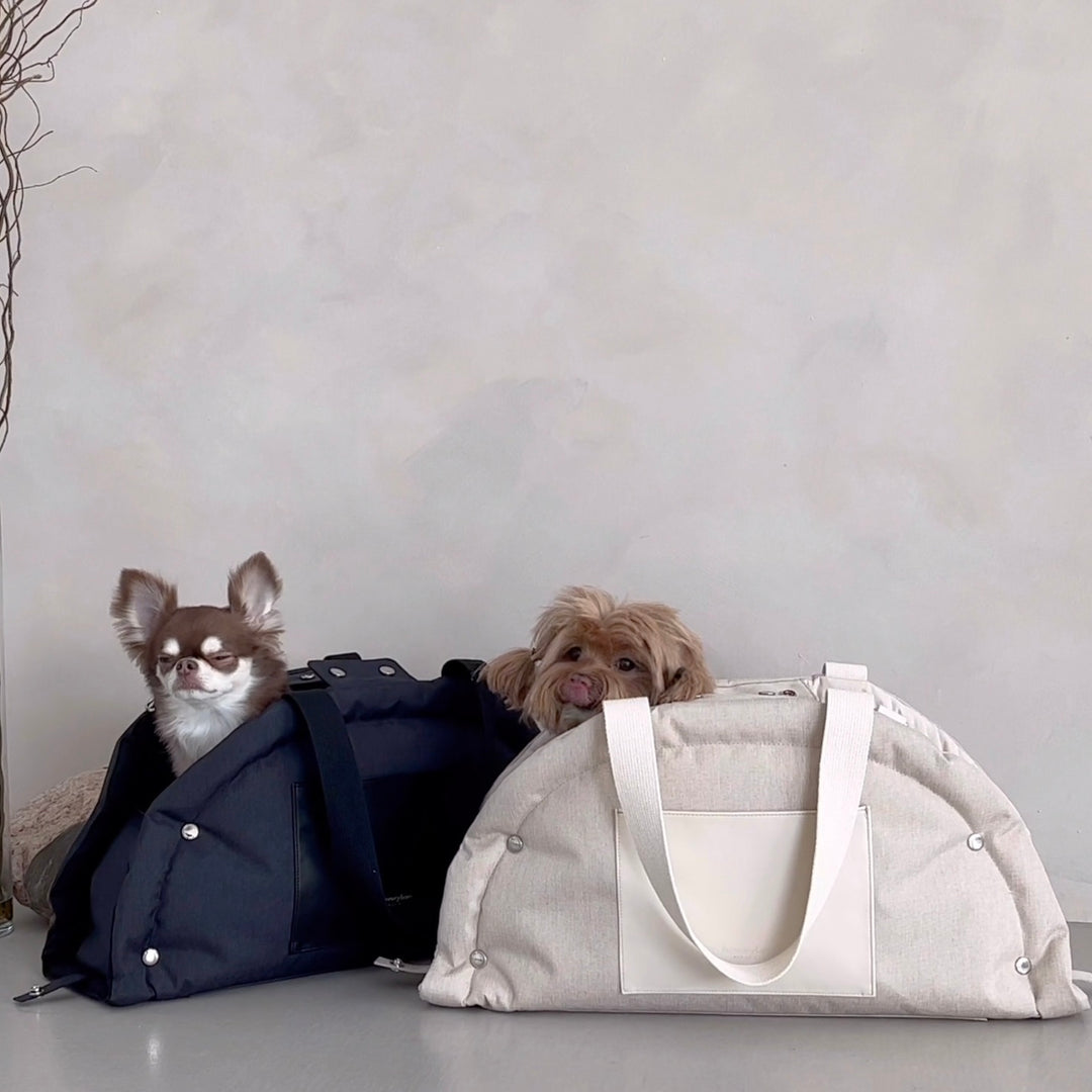 ※予約販売【foreverybari】Park Bag（White sand）