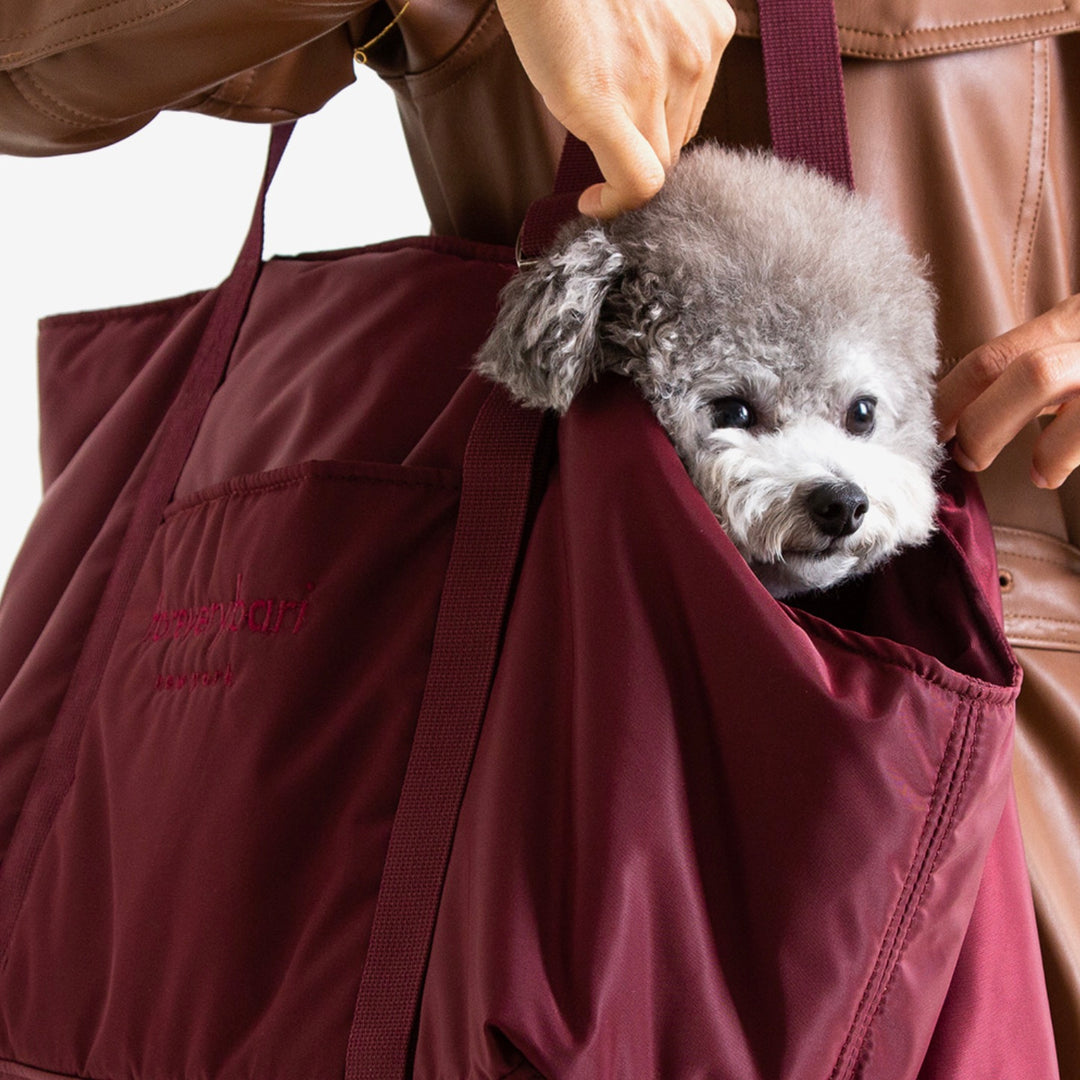 ※予約販売【foreverybari】New York Bag（Burgundy）
