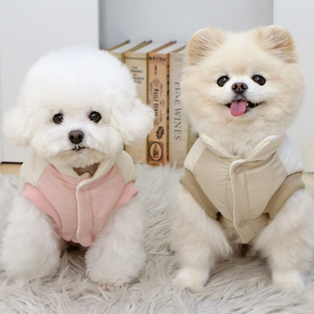 ※予約販売【ITS DOG】Disney Chip 'n Dale Cloud Padding