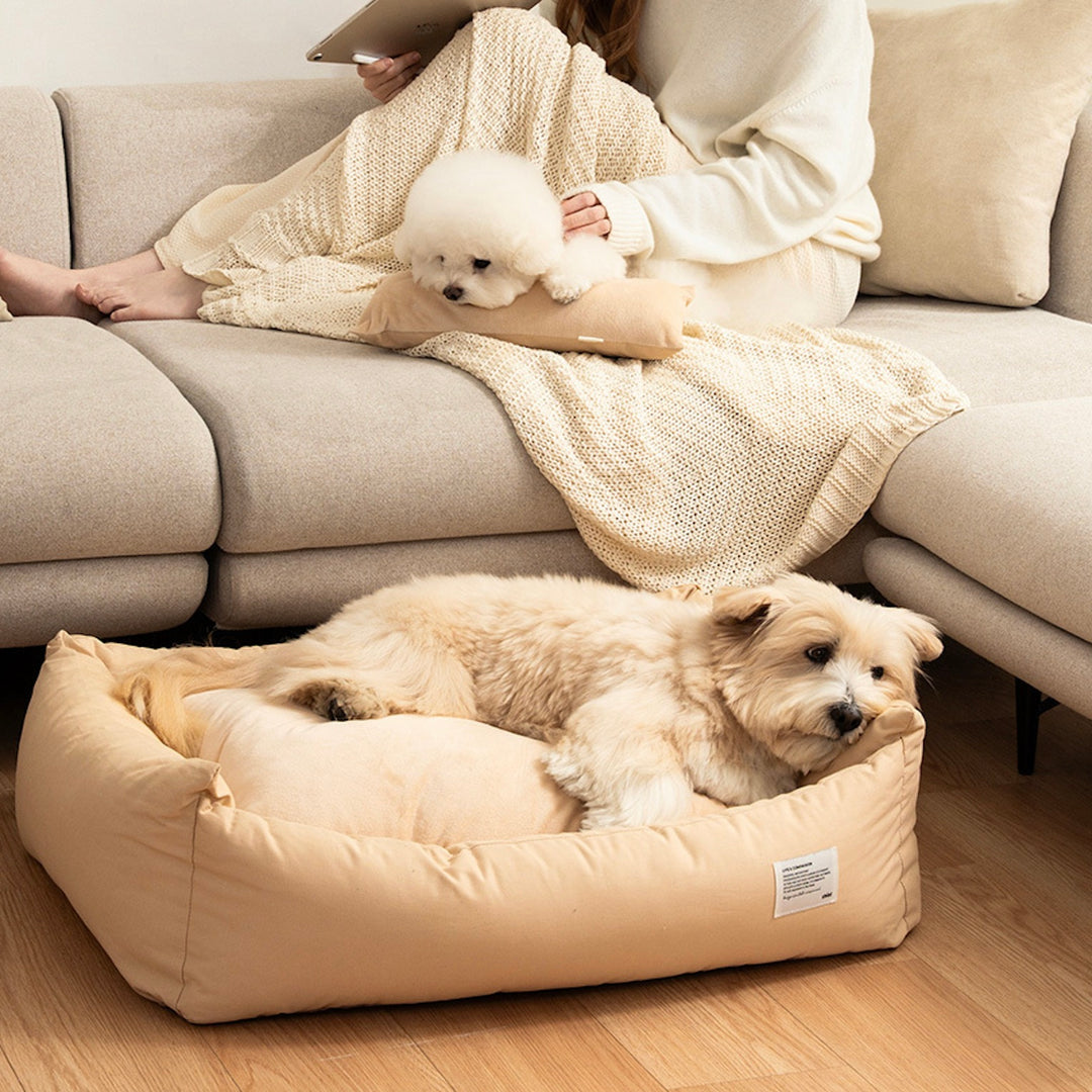 ※予約販売【Chiot】Maison Portable Cushion（4color）