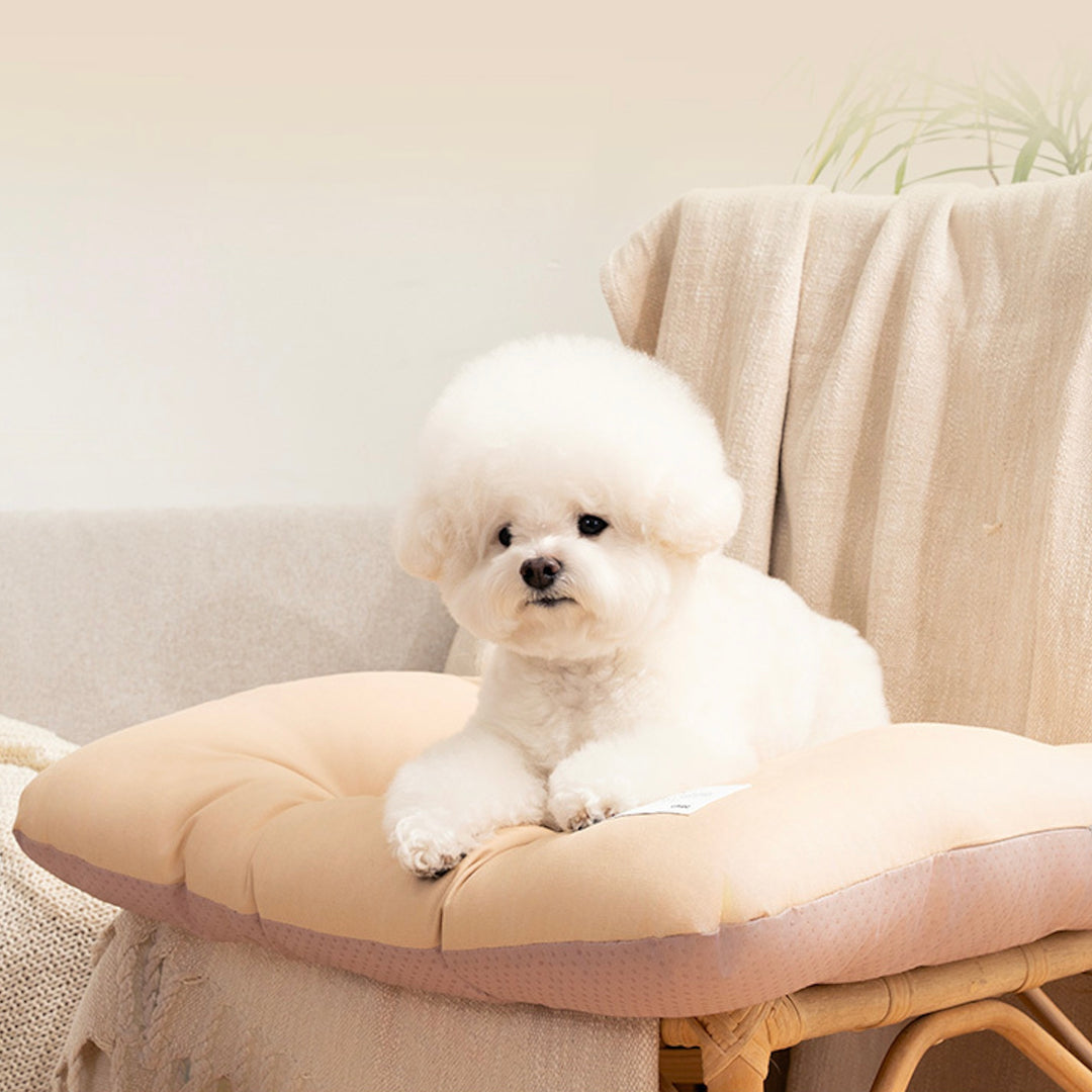 ※予約販売【Chiot】Maison Portable Cushion（4color）