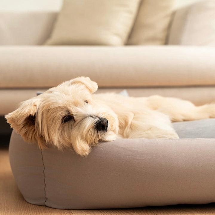 ※予約販売【Chiot】Maison Portable Cushion（4color）