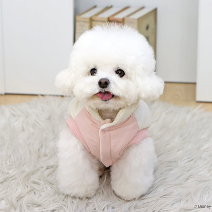 ※予約販売【ITS DOG】Disney Chip 'n Dale Cloud Padding