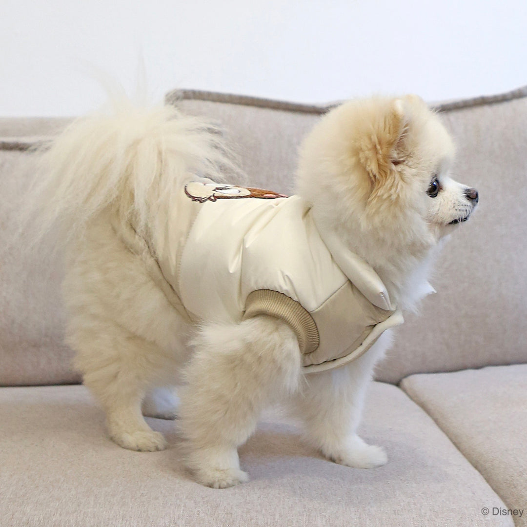 ※予約販売【ITS DOG】Disney Chip 'n Dale Cloud Padding