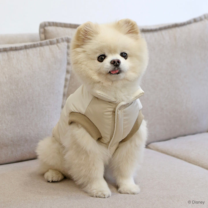 ※予約販売【ITS DOG】Disney Chip 'n Dale Cloud Padding
