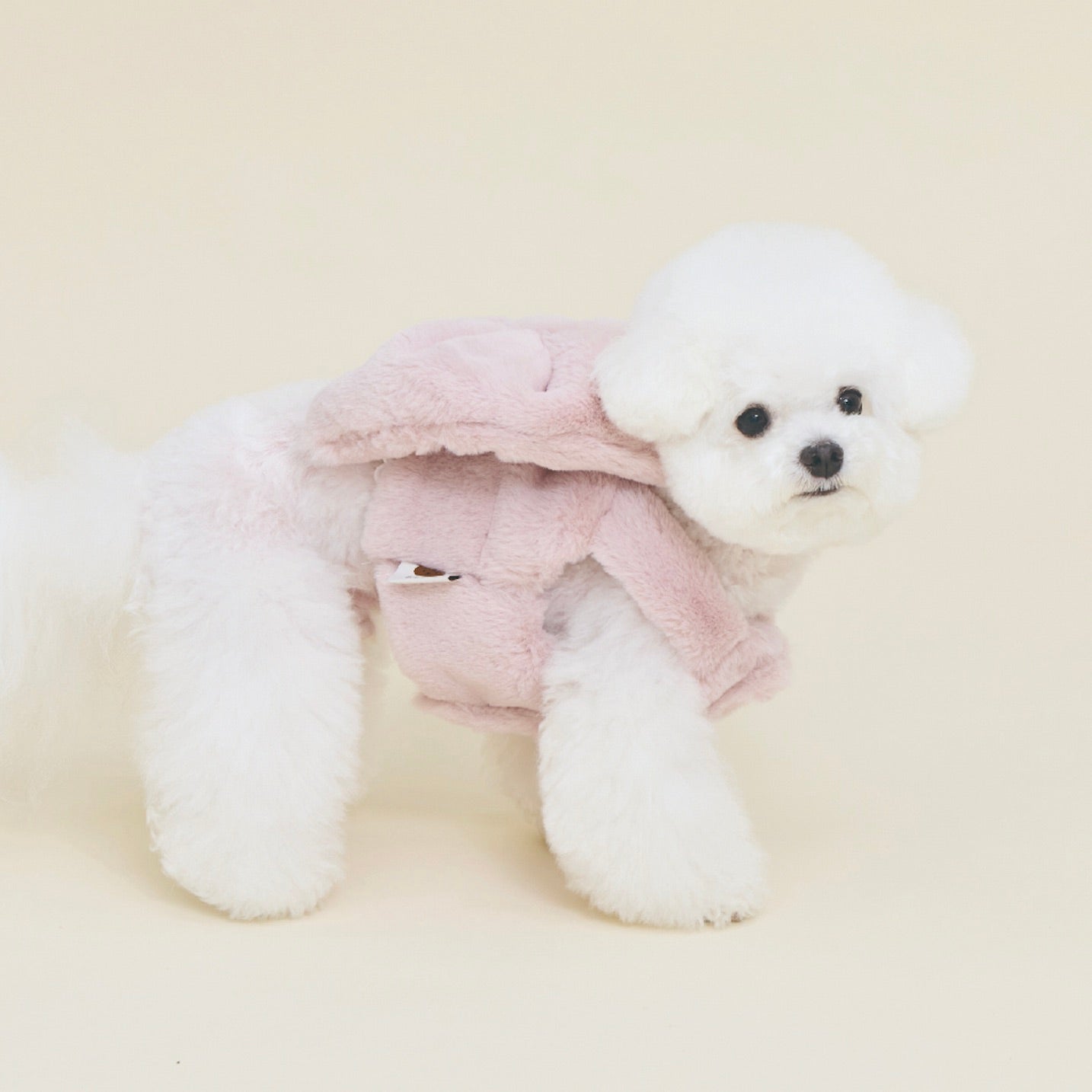 海外犬服 高品質なインポートのドッグウェア通販 