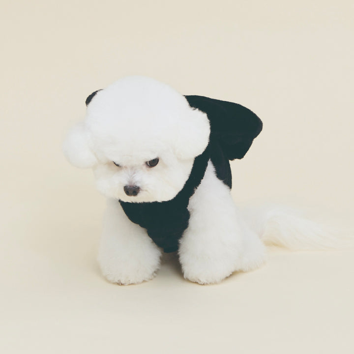 即納【meaningless】Roem Harness（Black）