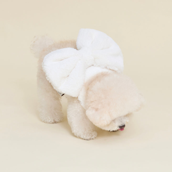 即納【meaningless】Roem Harness（White）