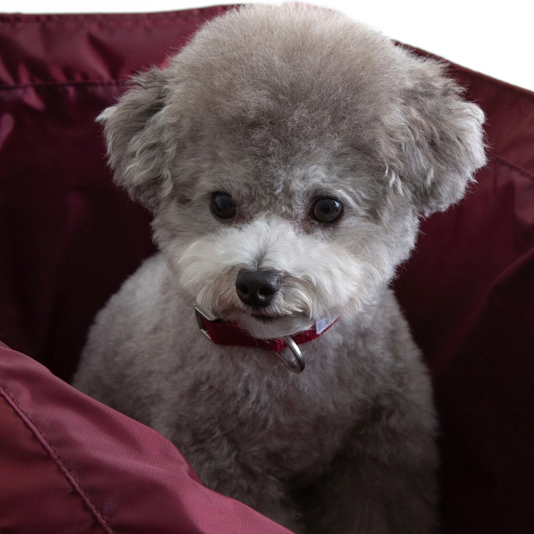 ※予約販売【foreverybari】New York Bag（Burgundy）