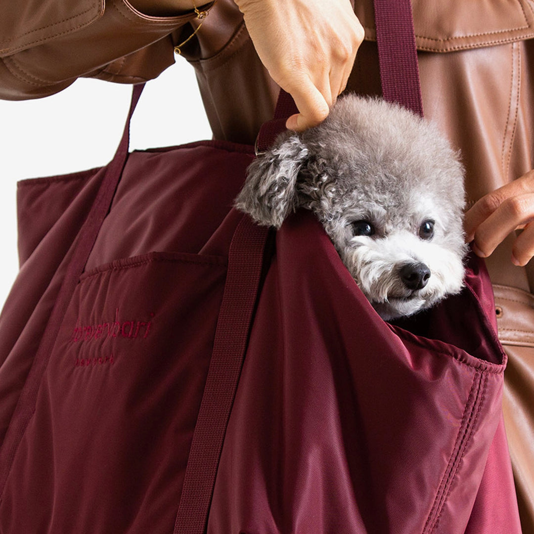※予約販売【foreverybari】New York Bag（Burgundy）