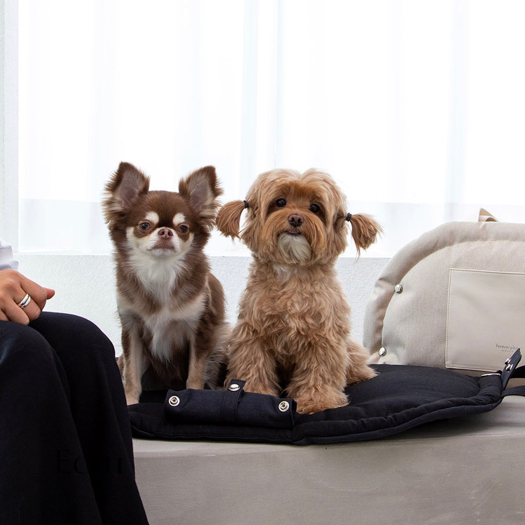 ※予約販売【foreverybari】Park Bag（Mid night）