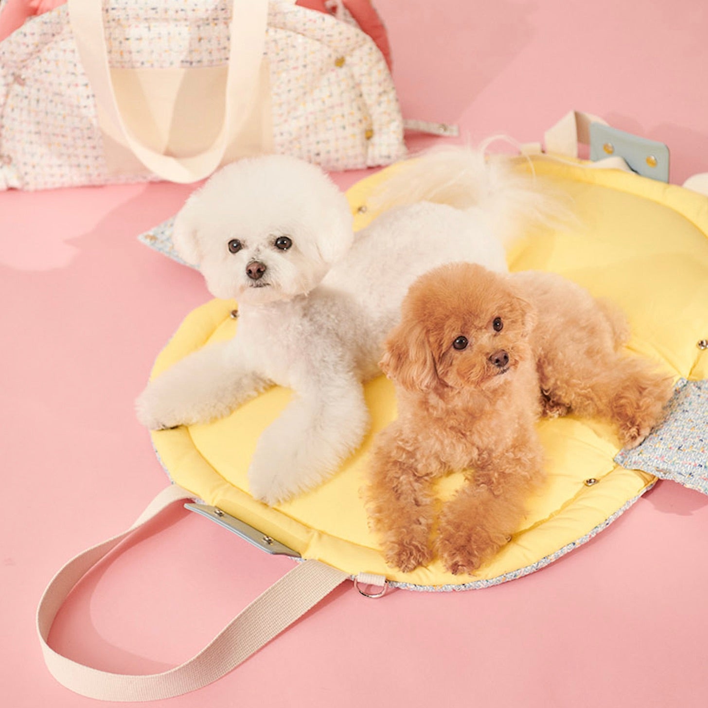 海外犬服 高品質なインポートのドッグウェア通販 