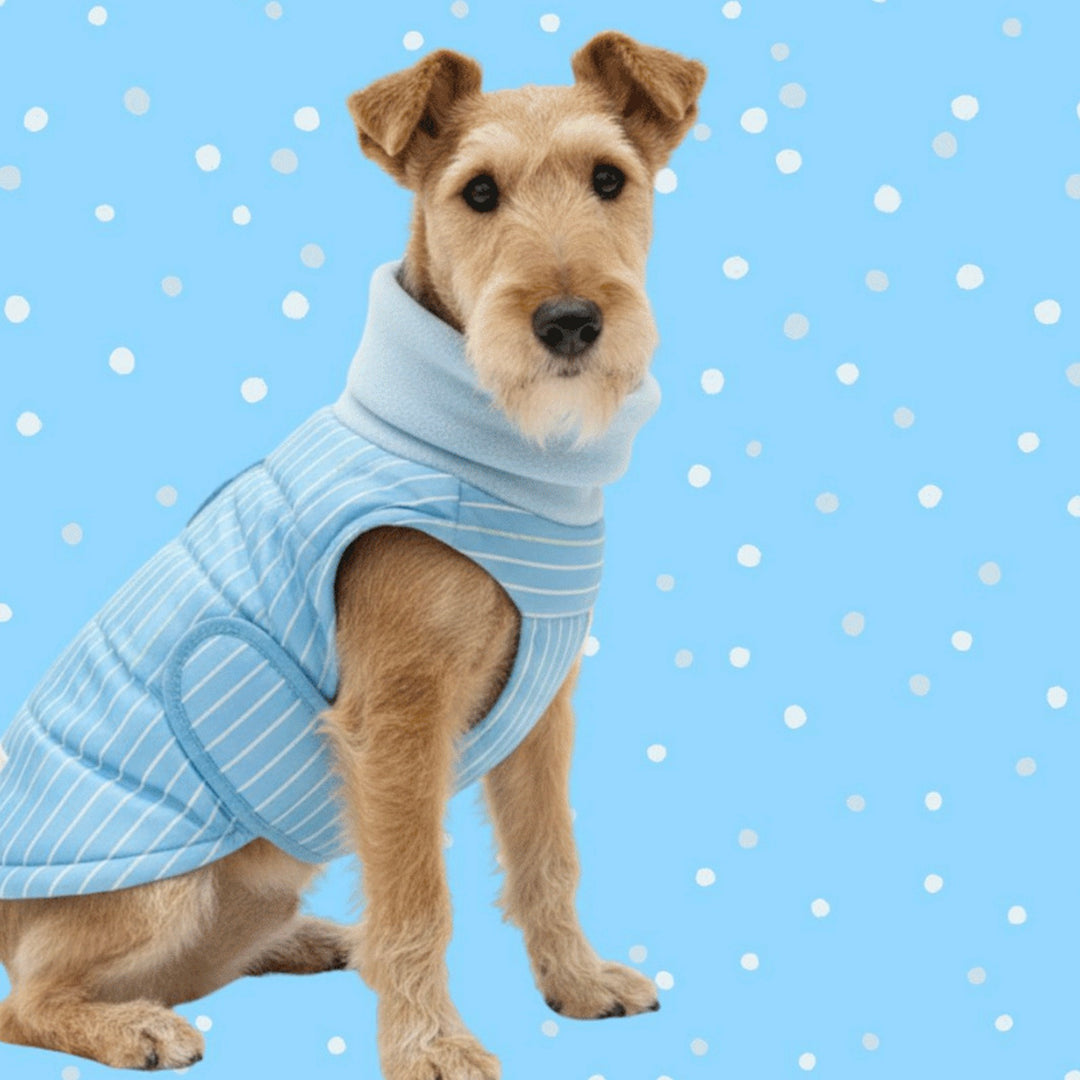 ※予約販売【TOOF】ULTRA LIGHT HEAT TECH PUFFER（BLUE）