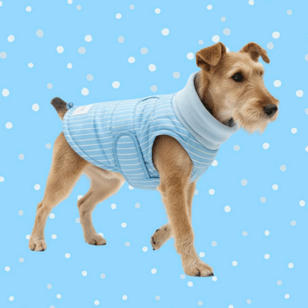 ※予約販売【TOOF】ULTRA LIGHT HEAT TECH PUFFER（BLUE）