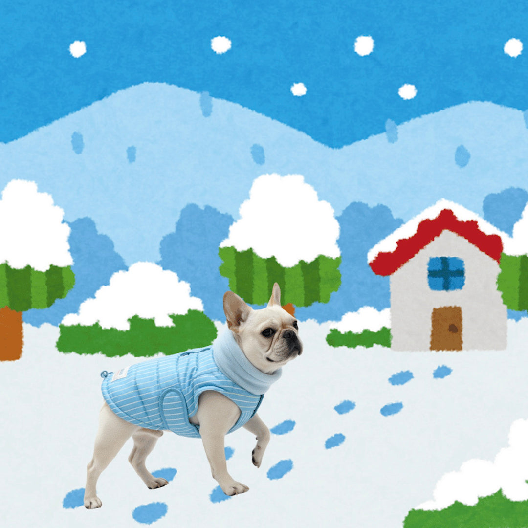 ※予約販売【TOOF】ULTRA LIGHT HEAT TECH PUFFER（BLUE）