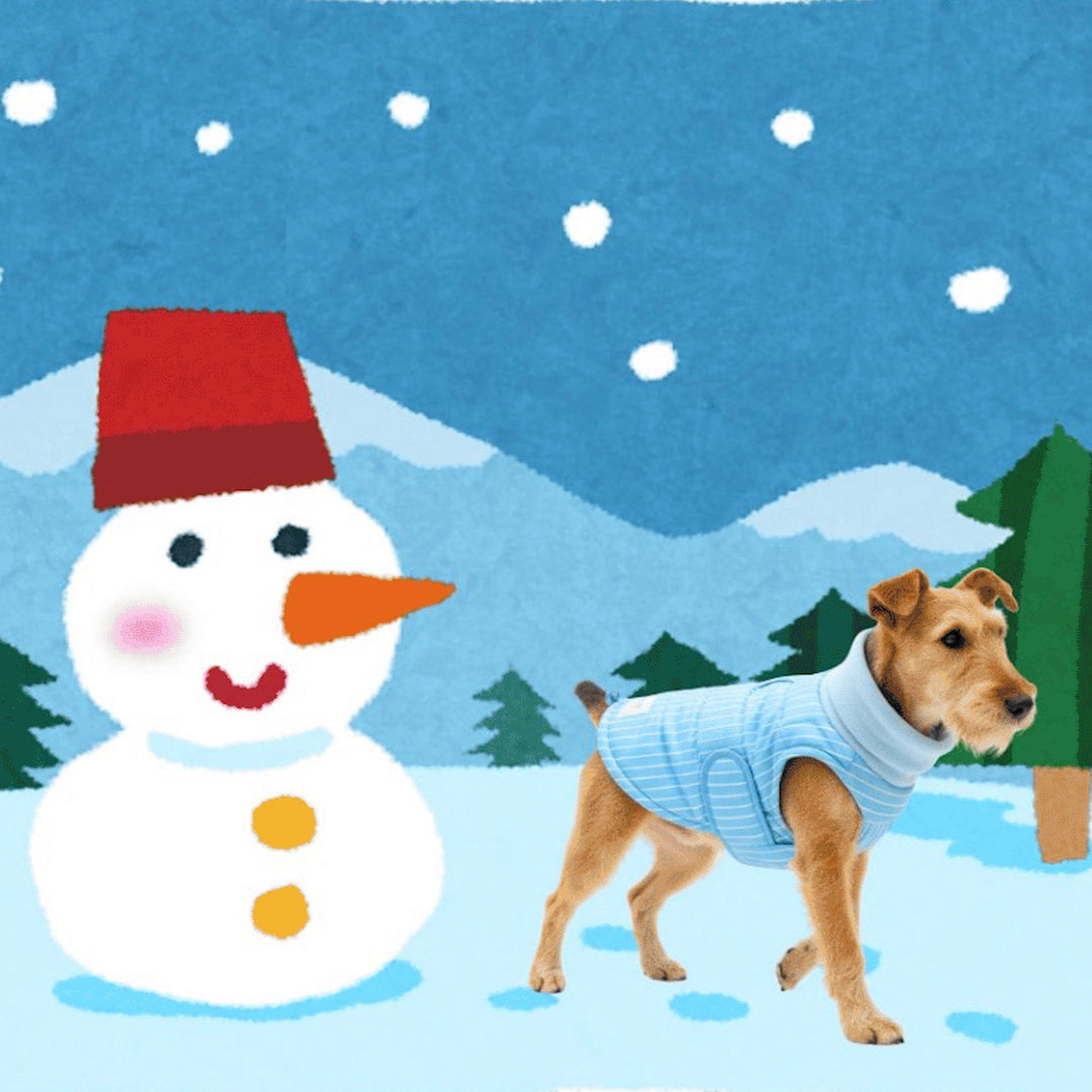 ※予約販売【TOOF】ULTRA LIGHT HEAT TECH PUFFER（BLUE）