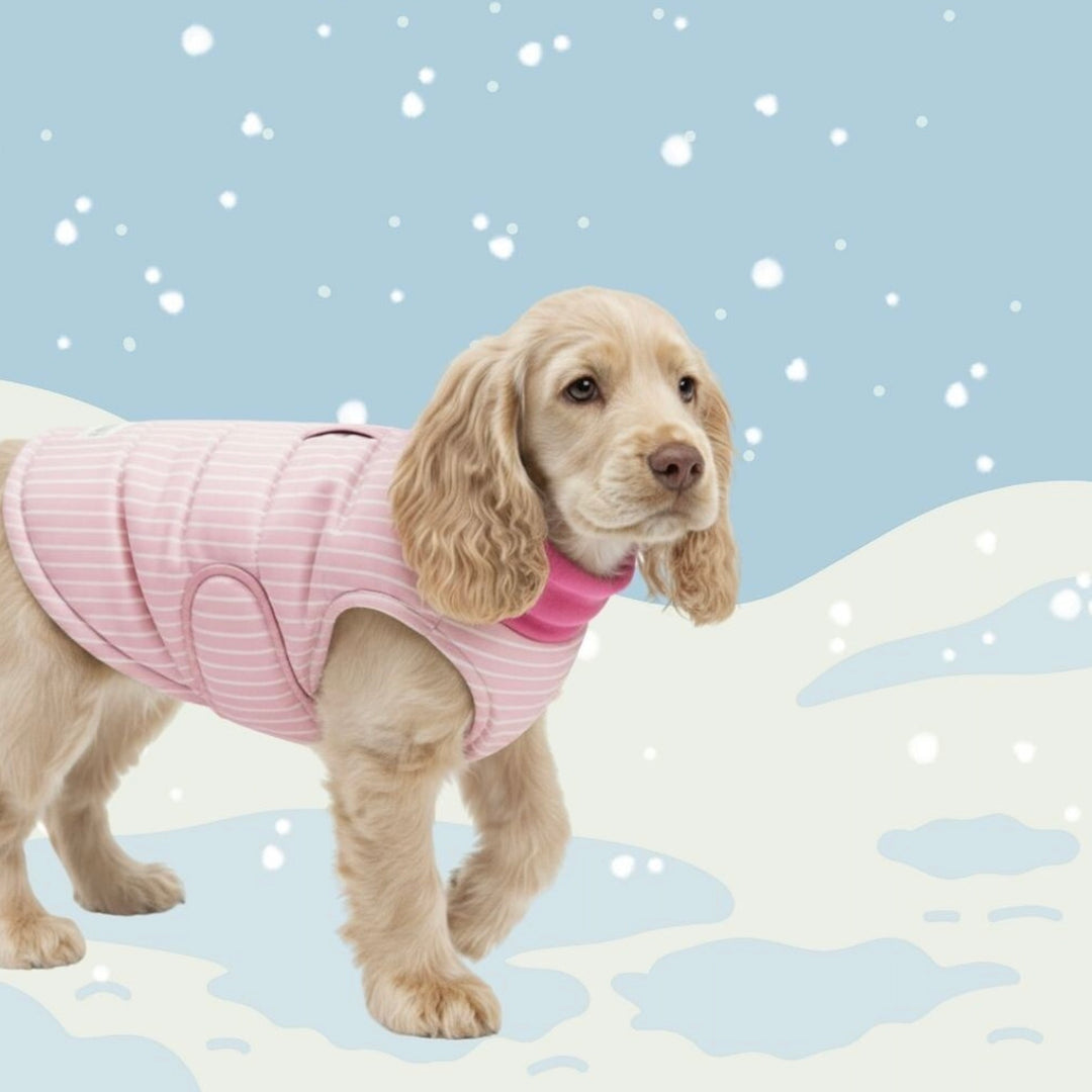 ※予約販売【TOOF】ULTRA LIGHT HEAT TECH PUFFER（PINK）