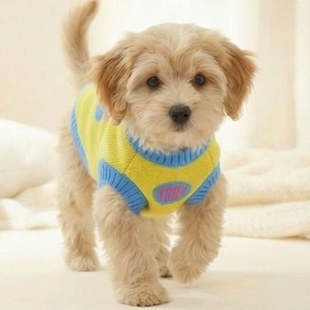 即納【TOOF】Puppy Daisy Cotton Knit Vest（Yellow）