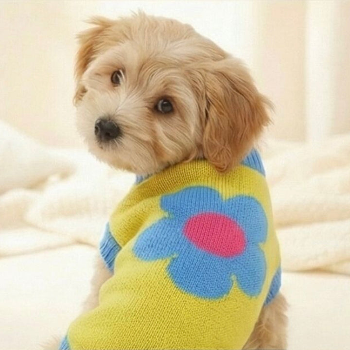 即納【TOOF】Puppy Daisy Cotton Knit Vest（Yellow）