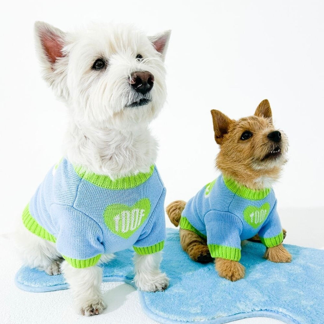 即納【TOOF】Baby Heart Sweater（Green / Blue）