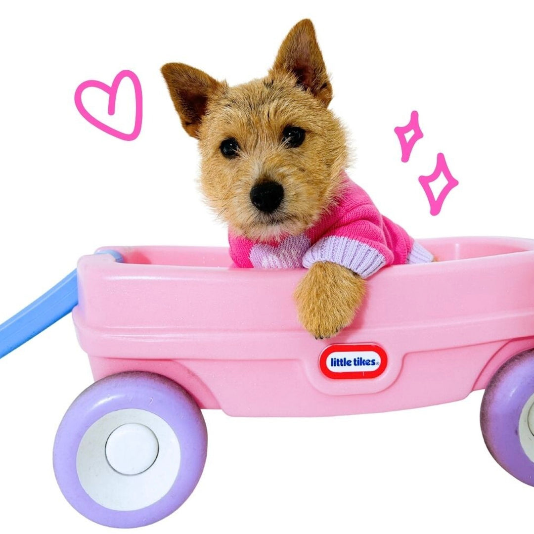 即納【TOOF】Baby Heart Sweater（Pink / Lavender）