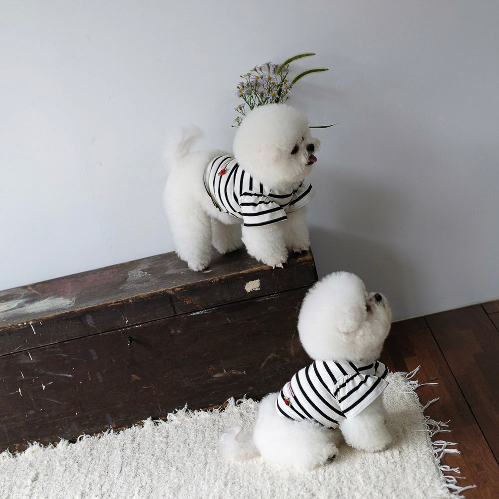 即納【BeBe Breath】Balloon Stripe Top（Ivory）