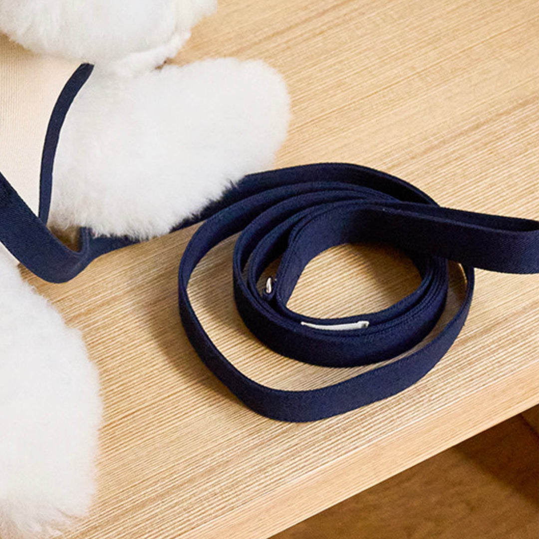 即納【noutti】Daily Leash