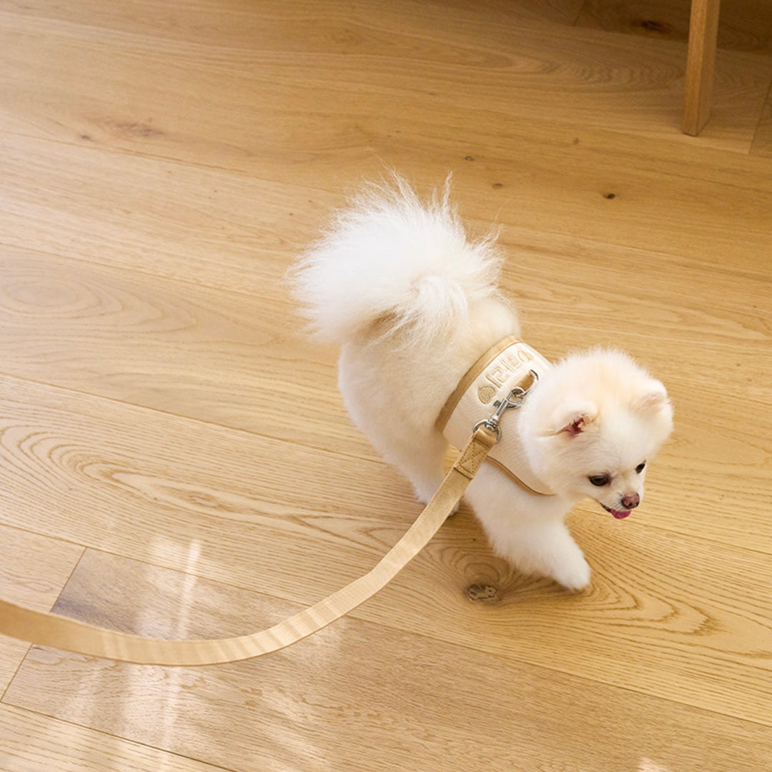 即納【noutti】Daily Leash