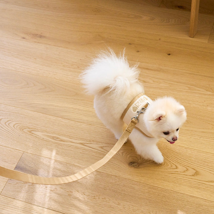 即納【noutti】Daily Leash