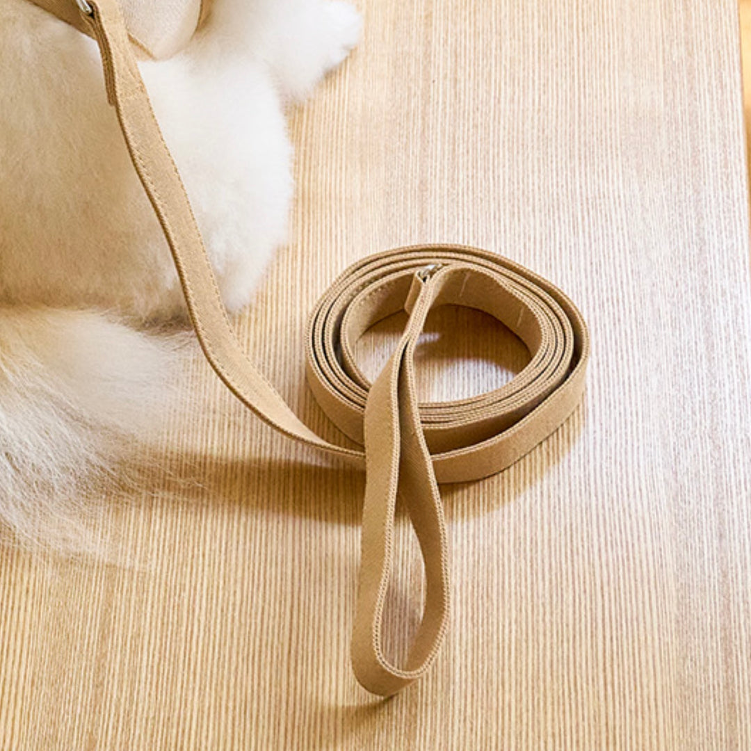 即納【noutti】Daily Leash