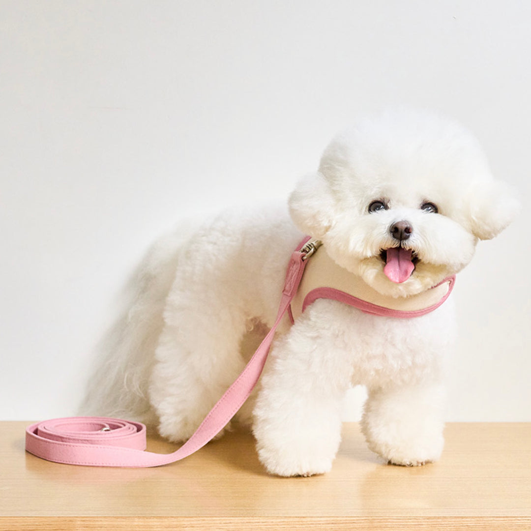 即納【noutti】Daily Leash