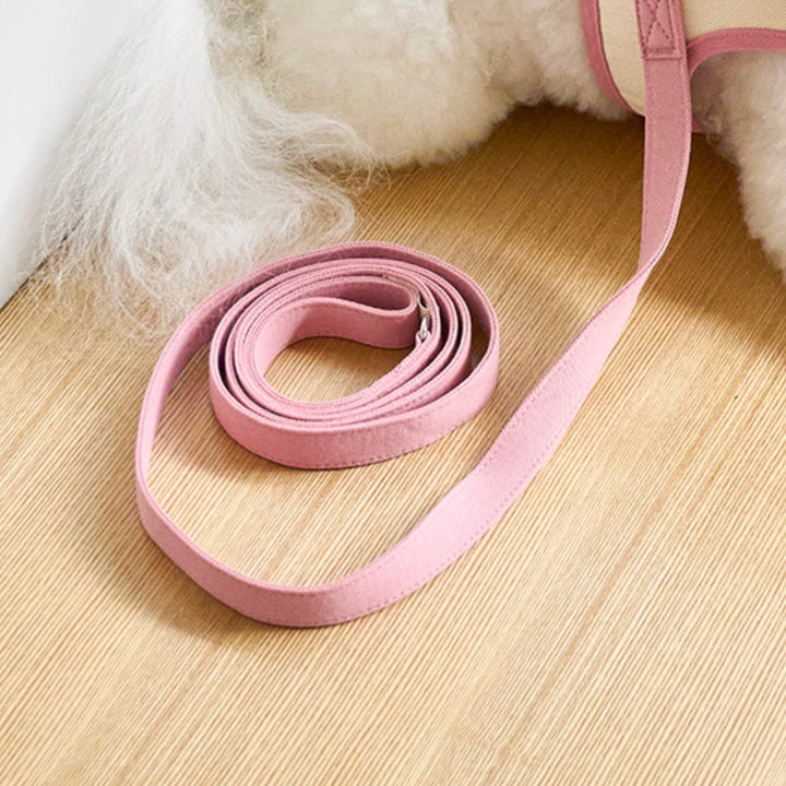 即納【noutti】Daily Leash