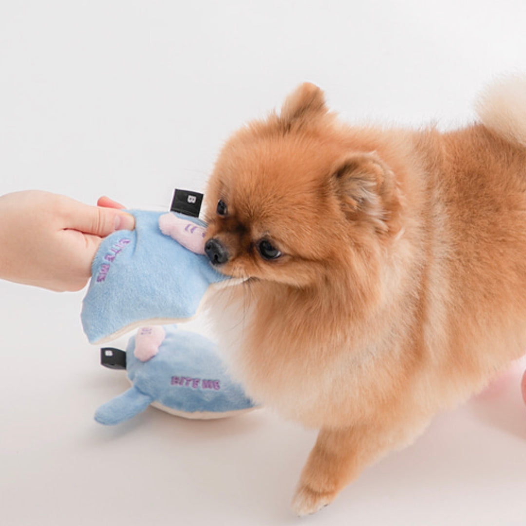 ※予約販売【BITE ME】Sea Friends Toy（2sets）Stingray & Squid