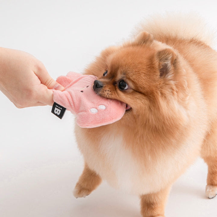 ※予約販売【BITE ME】Sea Friends Toy（2sets）Stingray & Squid