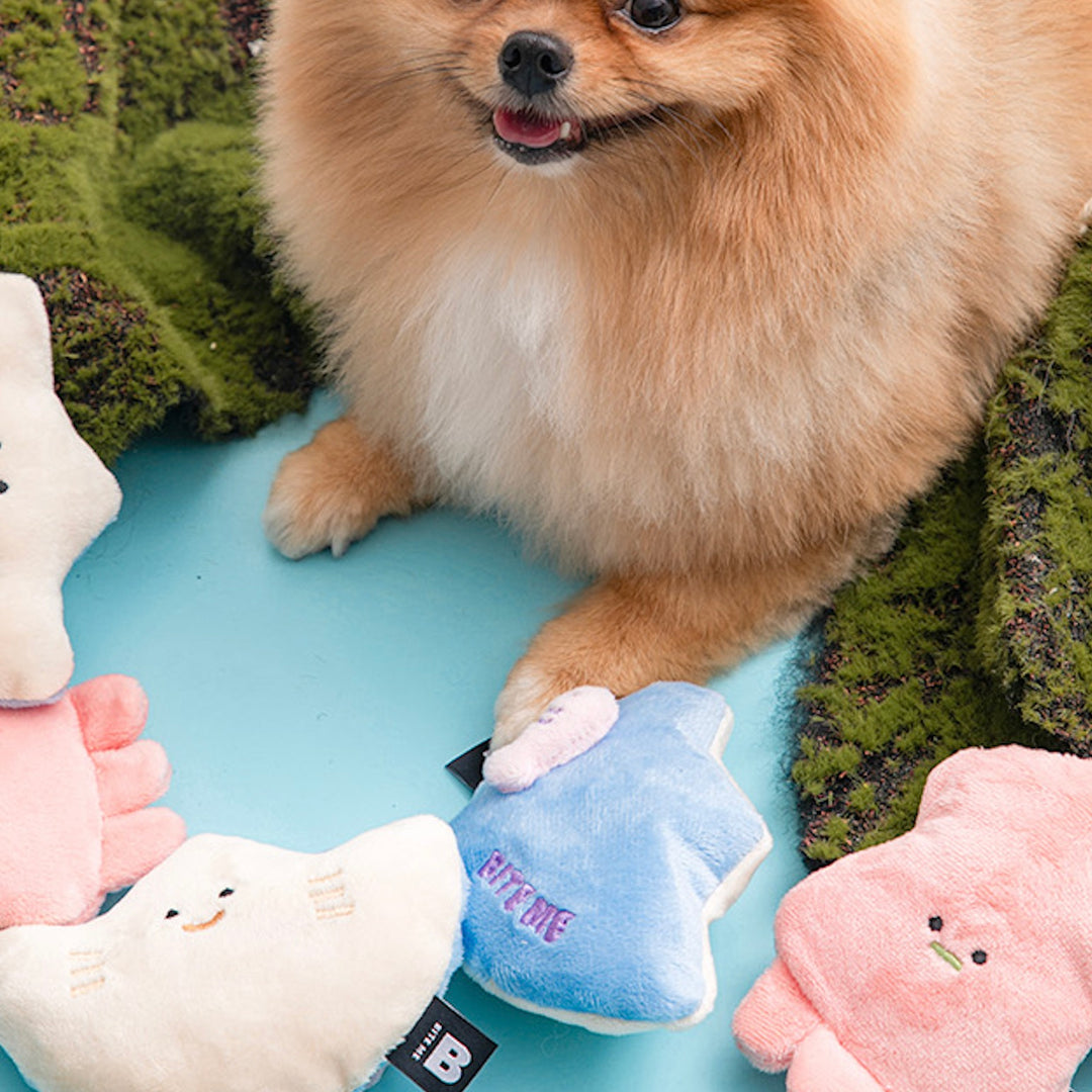 ※予約販売【BITE ME】Sea Friends Toy（2sets）Stingray & Squid