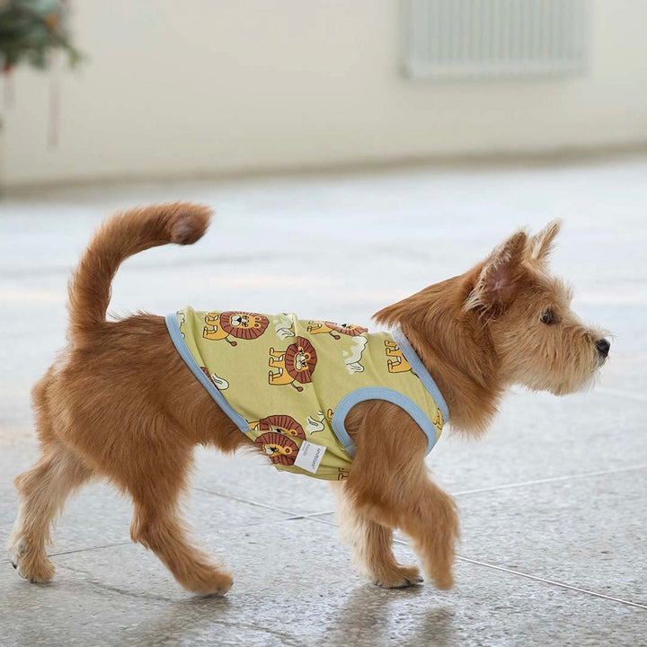 即納【andblank】ICONIC Pico Sleeveless（Olive）