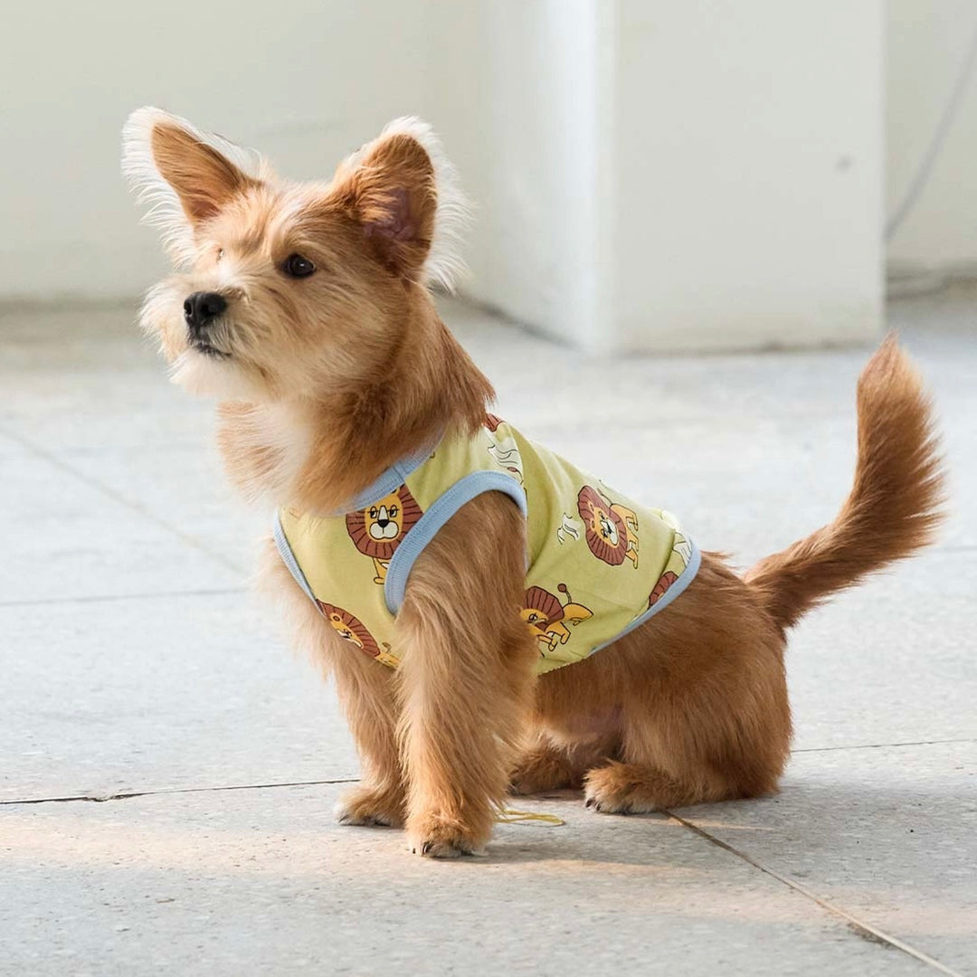 即納【andblank】ICONIC Pico Sleeveless（Olive）