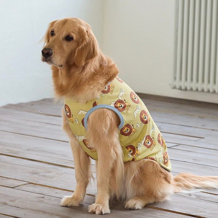 即納【andblank】ICONIC Pico Sleeveless（Olive）