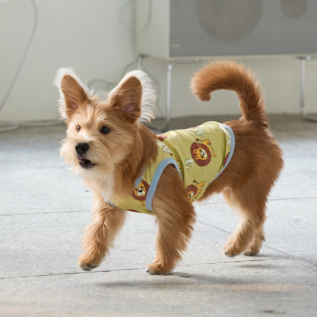 即納【andblank】ICONIC Pico Sleeveless（Olive）