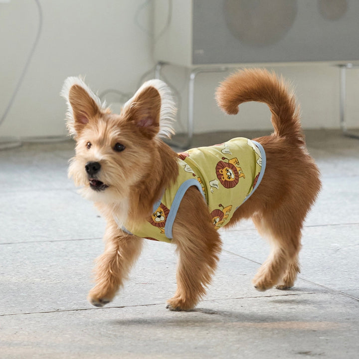 即納【andblank】ICONIC Pico Sleeveless（Olive）