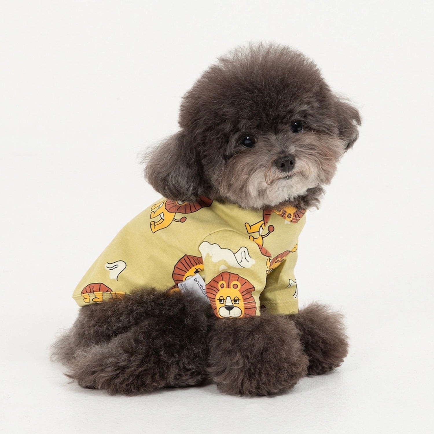 即納【andblank】ICONIC Pico Short Sleeve（Olive）