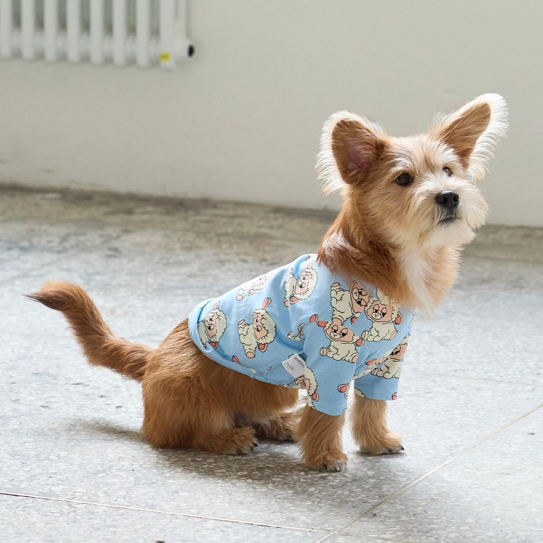 即納【andblank】ICONIC Pico Short Sleeve（Sky Blue）