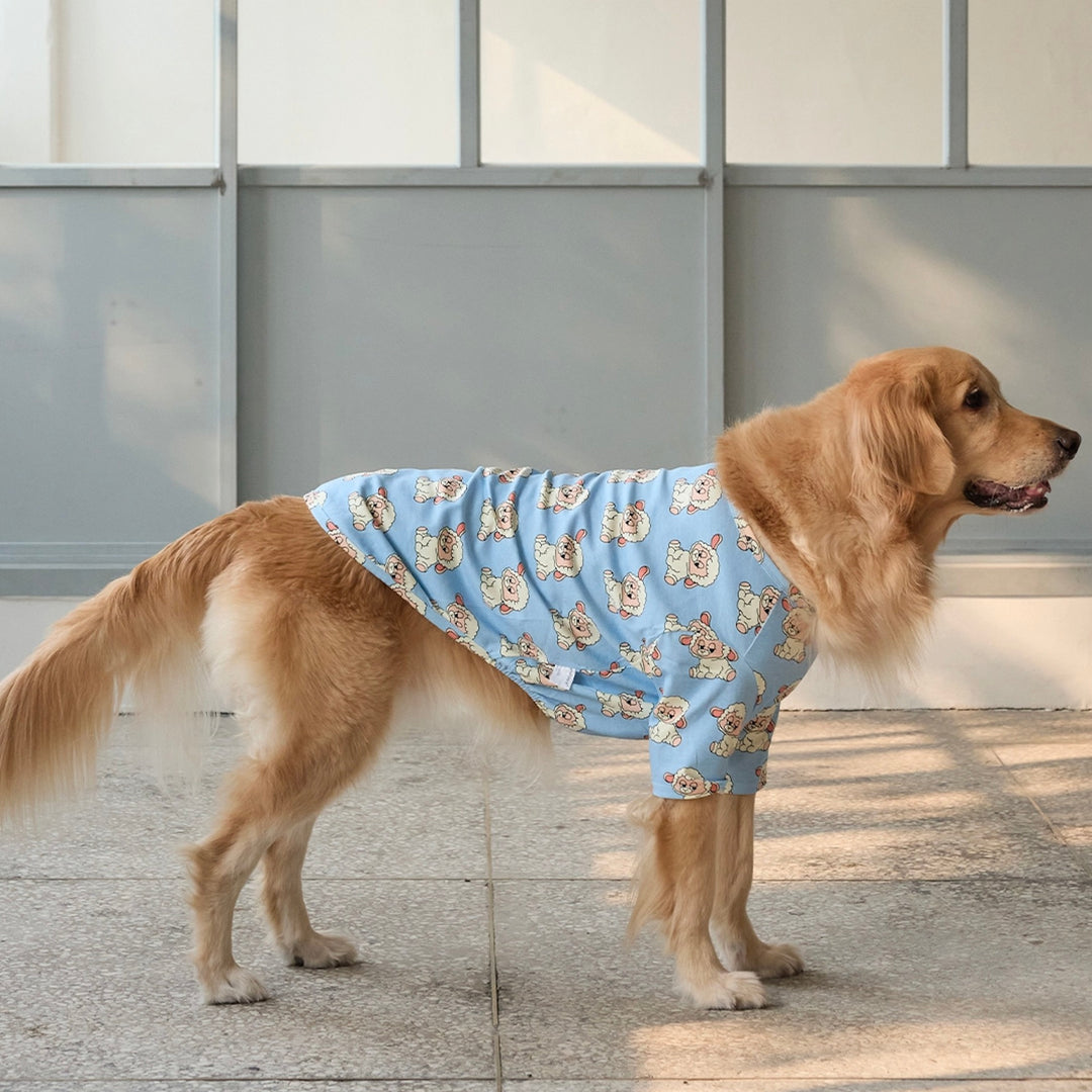 即納【andblank】ICONIC Pico Short Sleeve（Sky Blue）