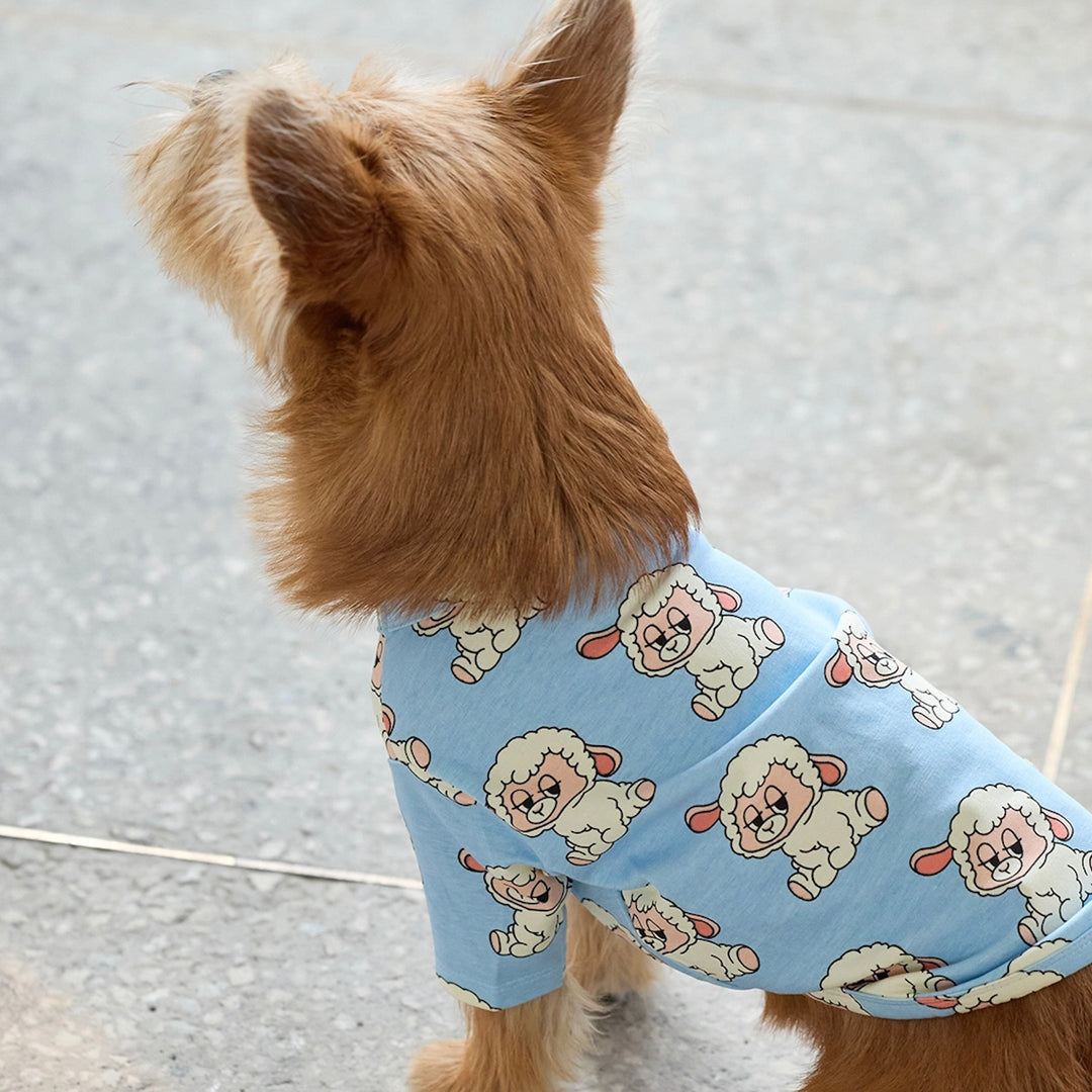 即納【andblank】ICONIC Pico Short Sleeve（Sky Blue）