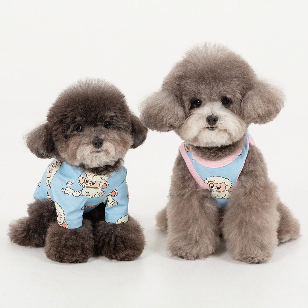 即納【andblank】ICONIC Pico Short Sleeve（Sky Blue）