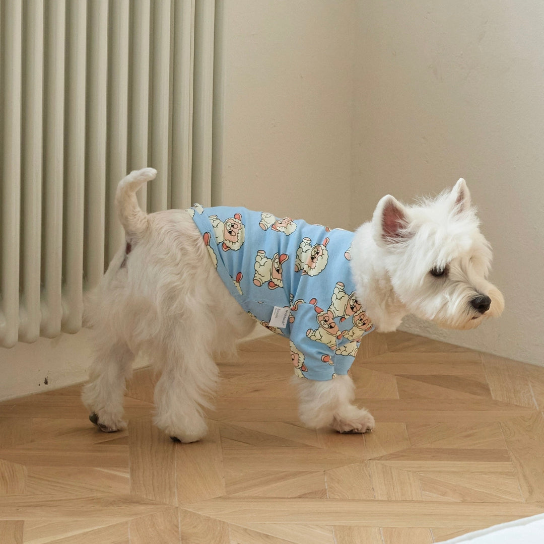 即納【andblank】ICONIC Pico Short Sleeve（Sky Blue）